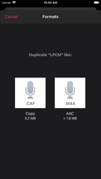 تصاویر You Record Pro